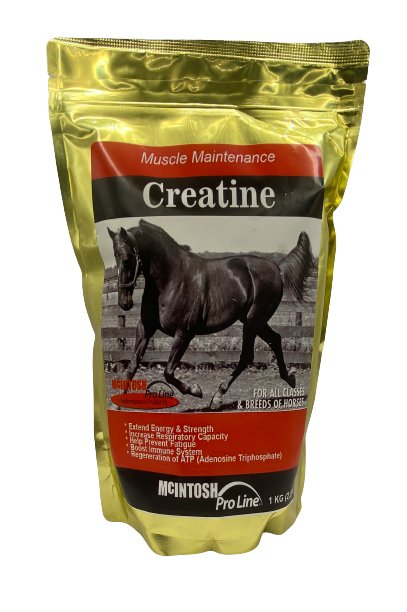 Creatine 1kG - Shopivet.com