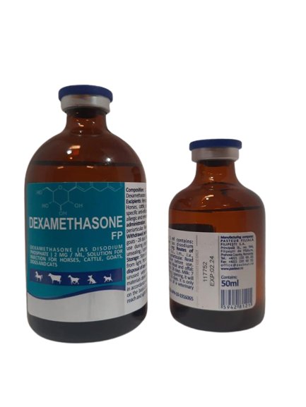 Dexamethanone FP 50 ml - Shopivet.com