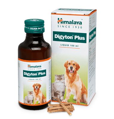 Digyton Plus 100ml - Shopivet.com