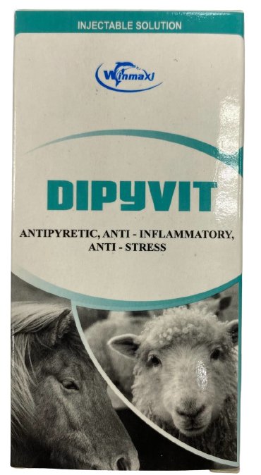 Dipyvit 100ml - Shopivet.com