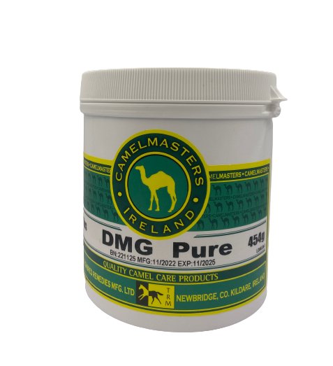 DMG Pure 454g - Shopivet.com