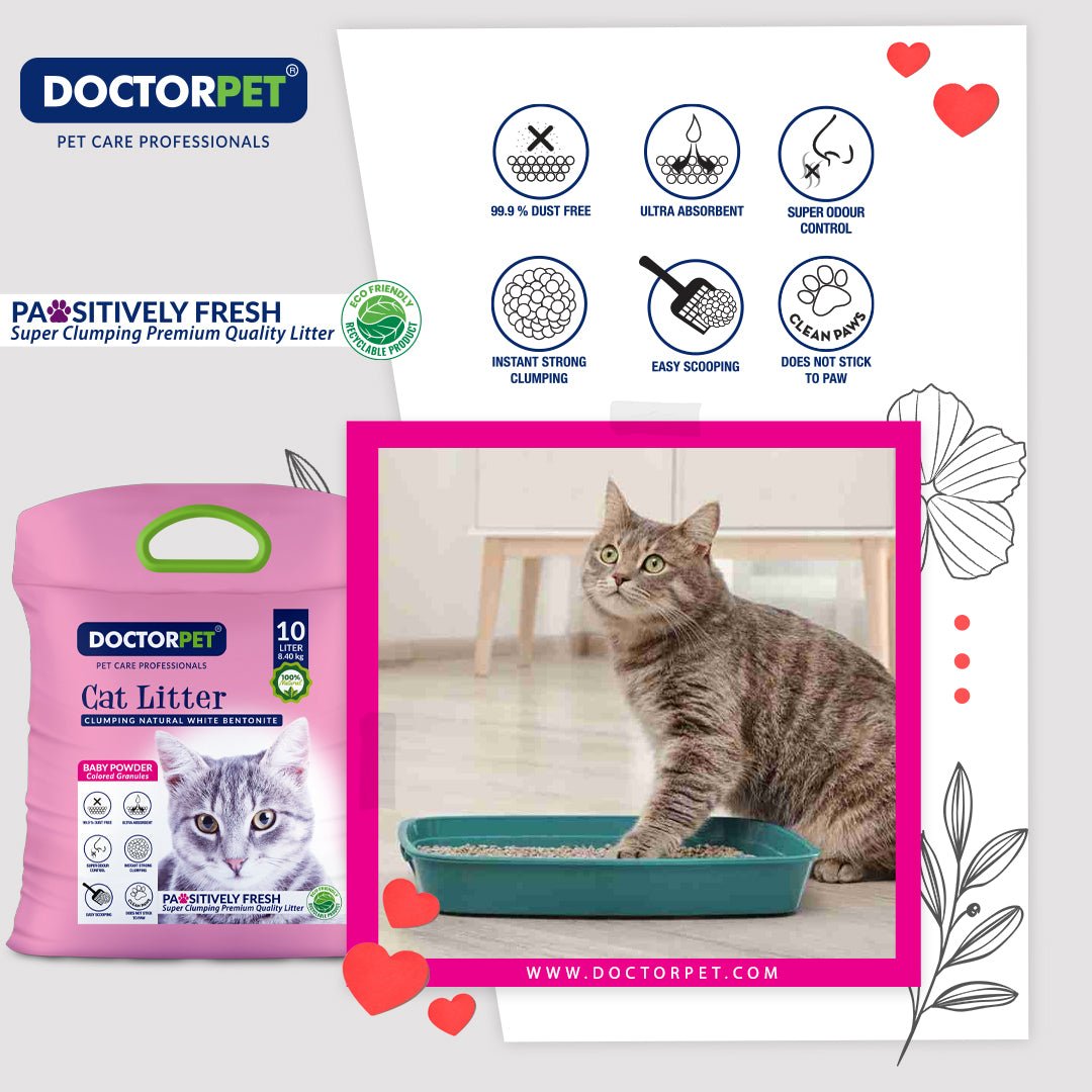 Doctor Pet CAT Litter Baby Powder 10L Tela - Shopivet.com