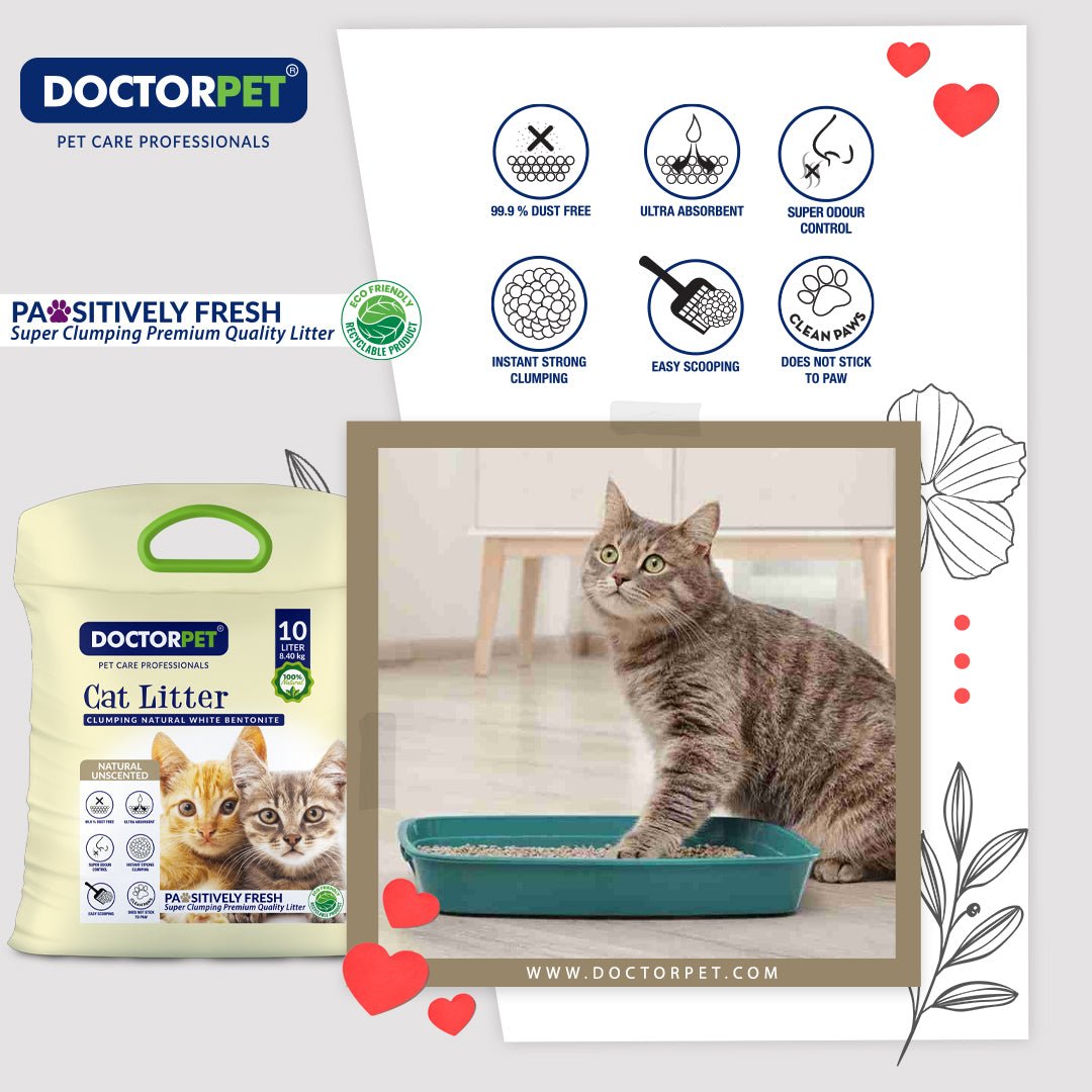 Doctor Pet CAT Litter UNSCENTED 10L Tela - Shopivet.com