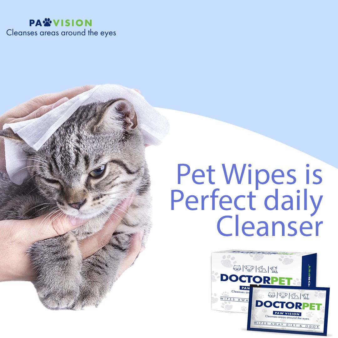 Doctor Pet Wipes 15's - Shopivet.com