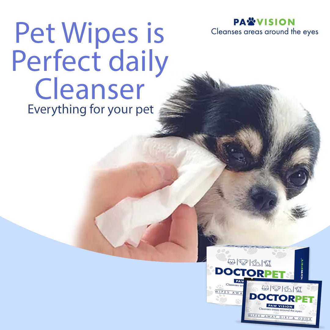 Doctor Pet Wipes 15's - Shopivet.com