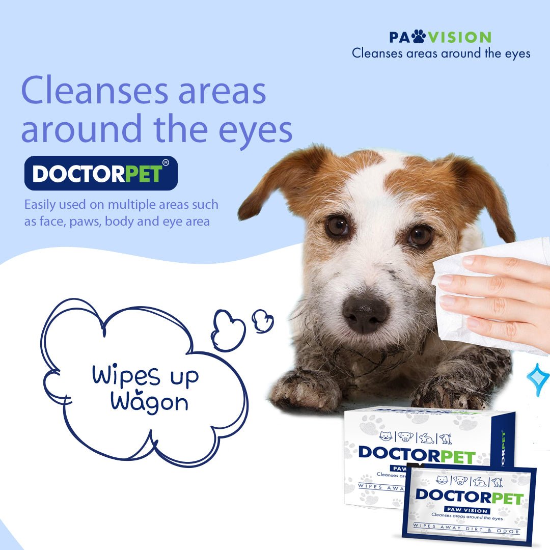 Doctor Pet Wipes 15's - Shopivet.com