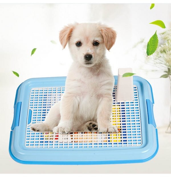 Dog Toilet 43*43*15cm - Shopivet.com