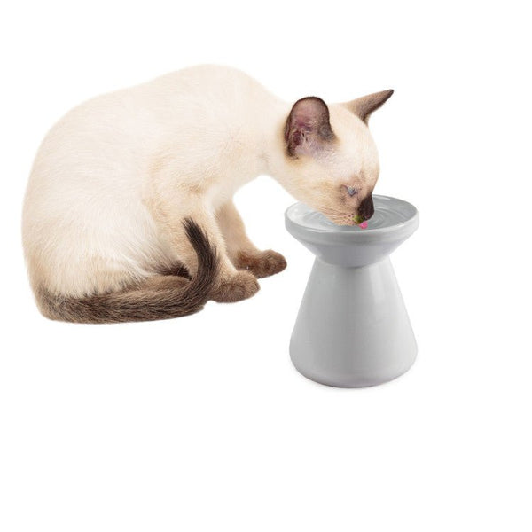 Elevated Pet Water Bowl - White - Shopivet.com