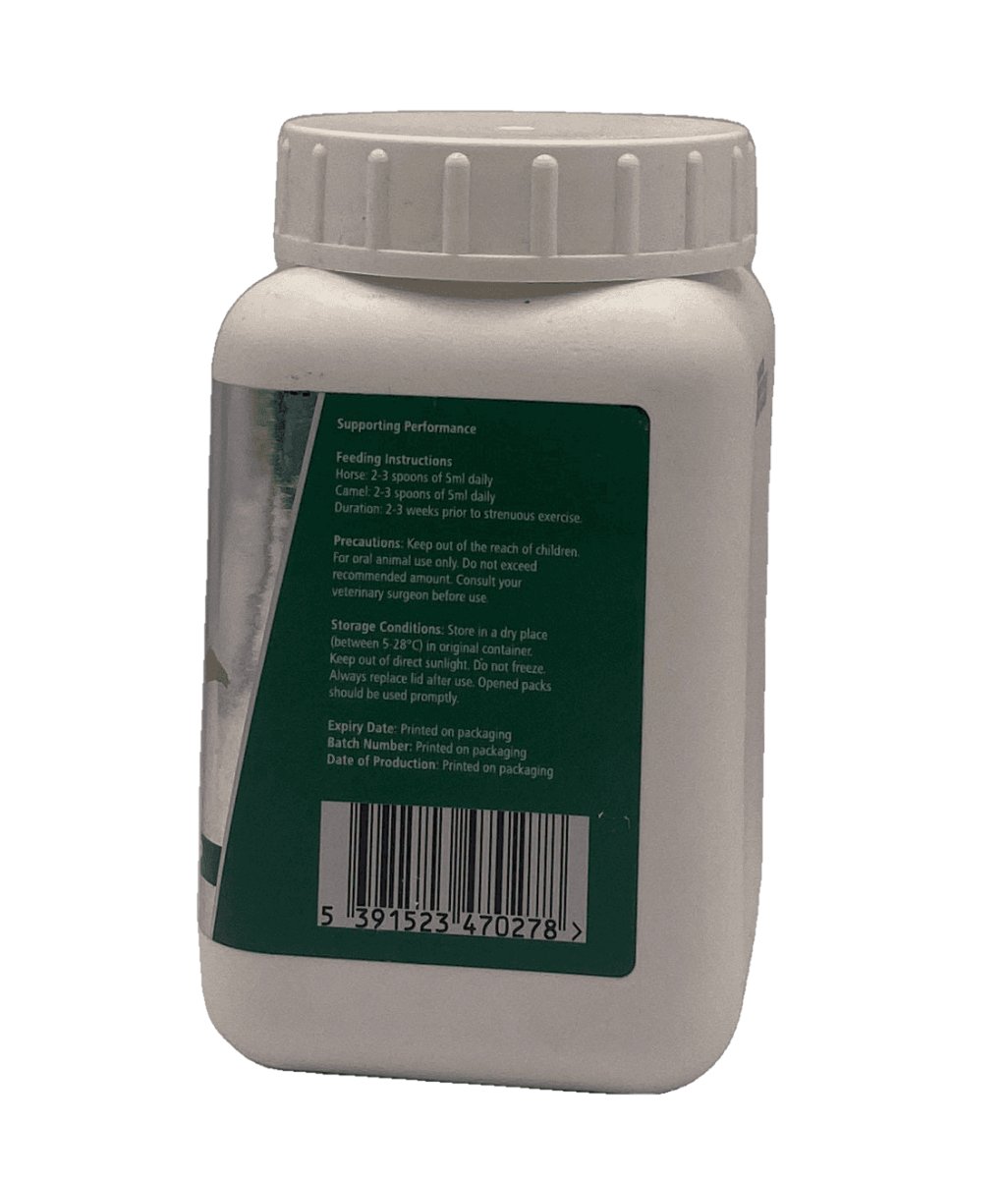 Energy 1000 Racing Energizer - Shopivet.com