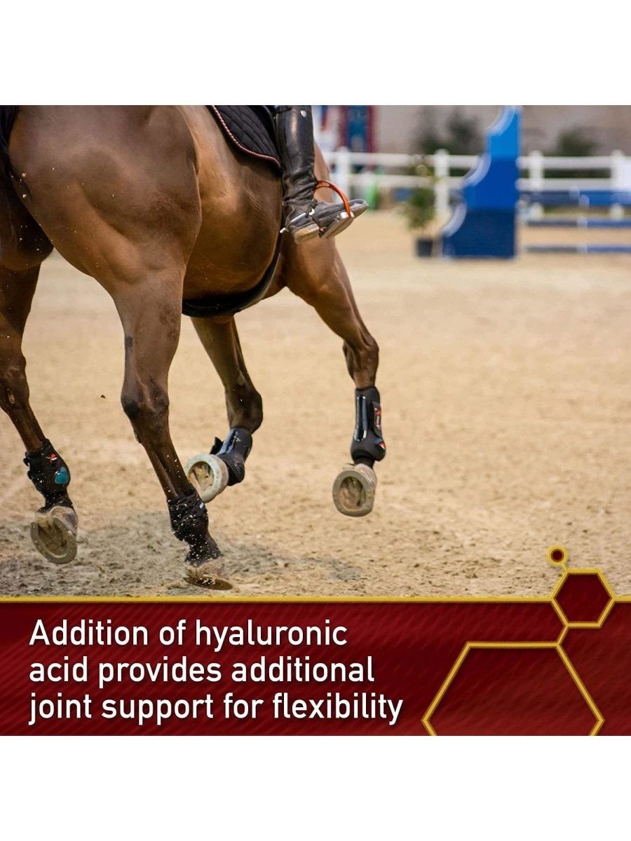 Equinyl Joint Formula with Hyaluronic Acid 1.70 kg - Shopivet.com