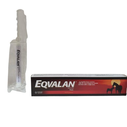Eqvalan paste 1 injector 120 g - Shopivet.com