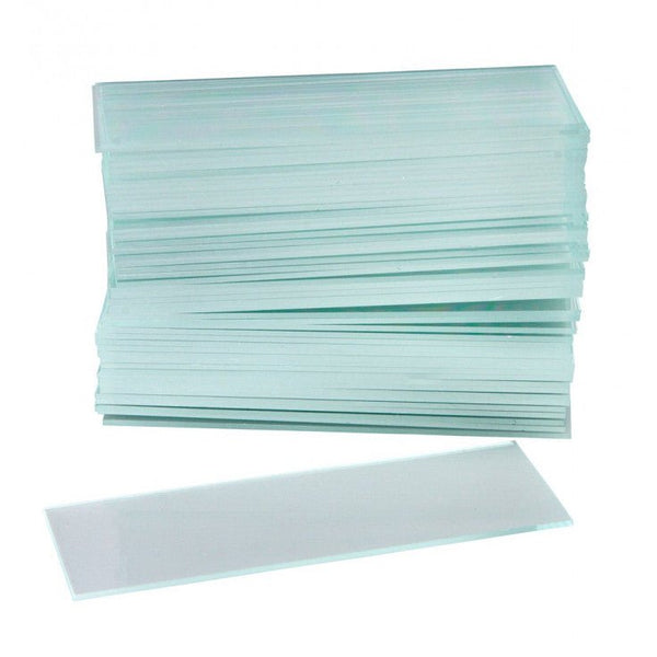 EXAMINATION MICROSCOPE SLIDES POLISHED - Shopivet.com