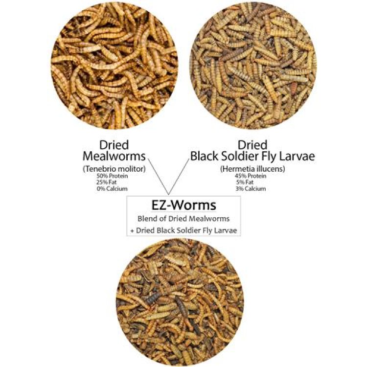 EZ-Worms 40g - Shopivet.com