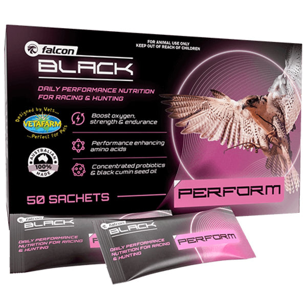 Falcon Black Perform 50 sachets - Shopivet.com