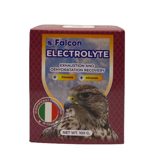 Falcon Electrolyte 100g - Shopivet.com