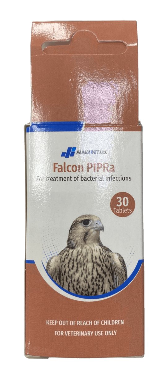 Falcon PIPRa - Shopivet.com
