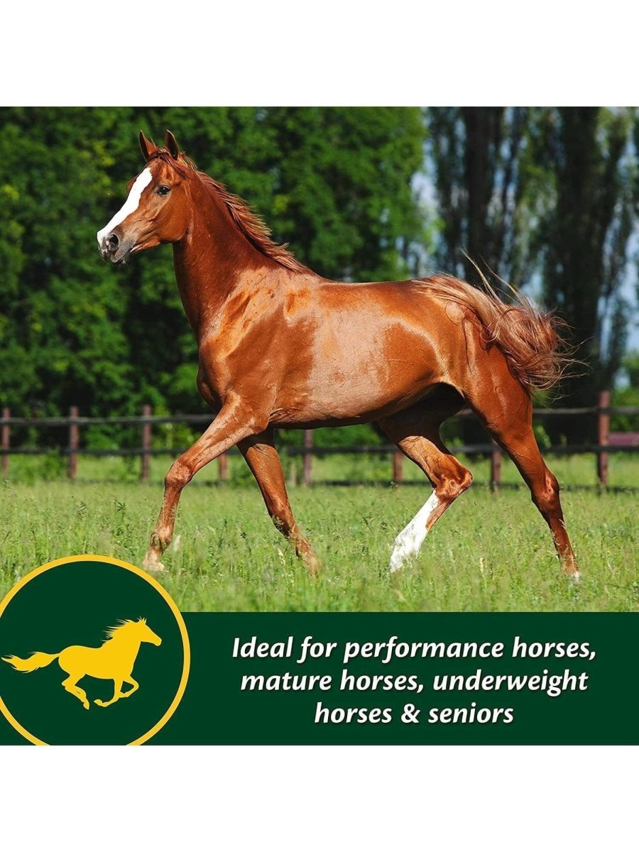 Farnam Weight Builder 3.4Kg - Shopivet.com