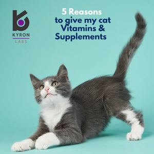 Feli-Vit Vitamin, Mineral and Protein Supplement - Shopivet.com