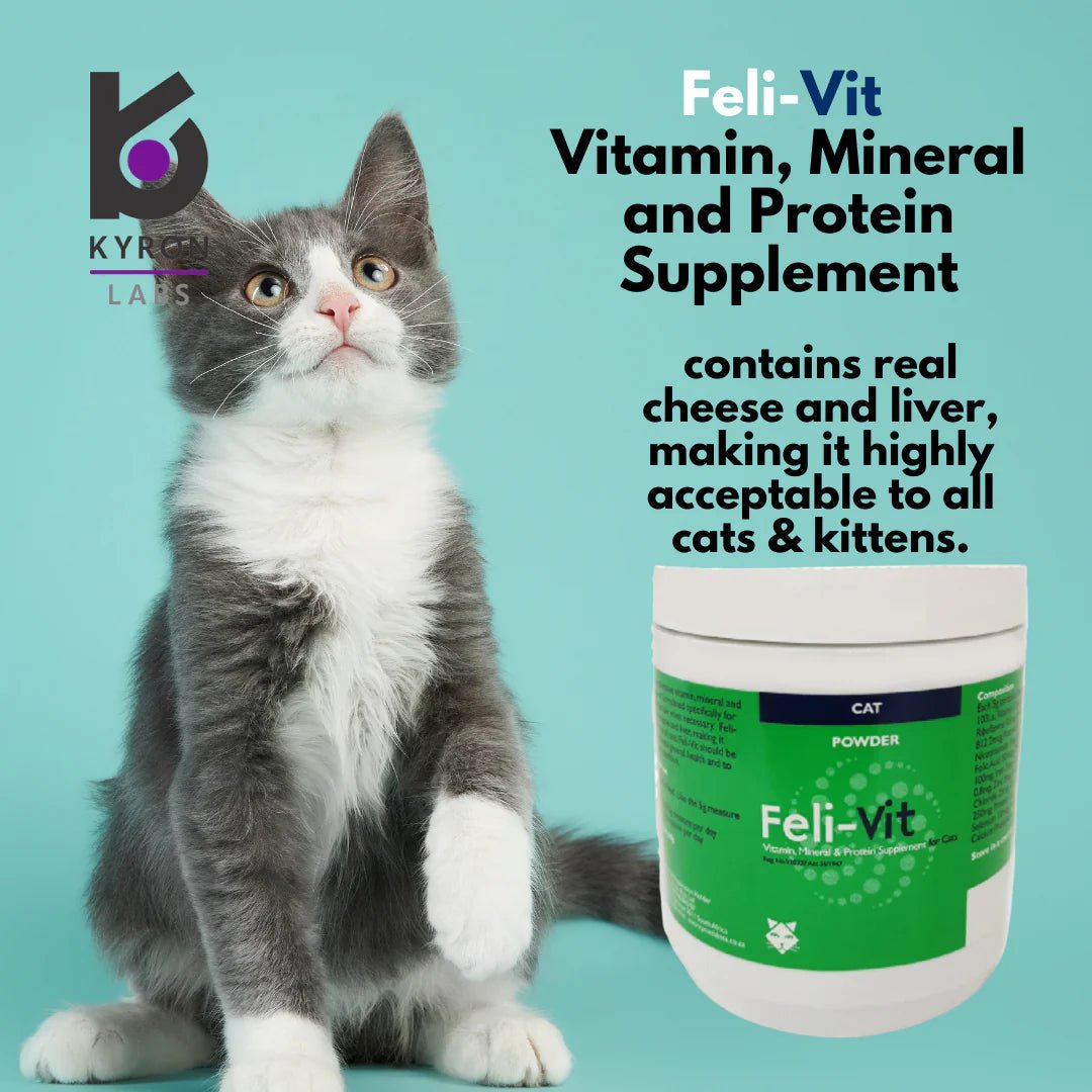Feli-Vit Vitamin, Mineral and Protein Supplement - Shopivet.com