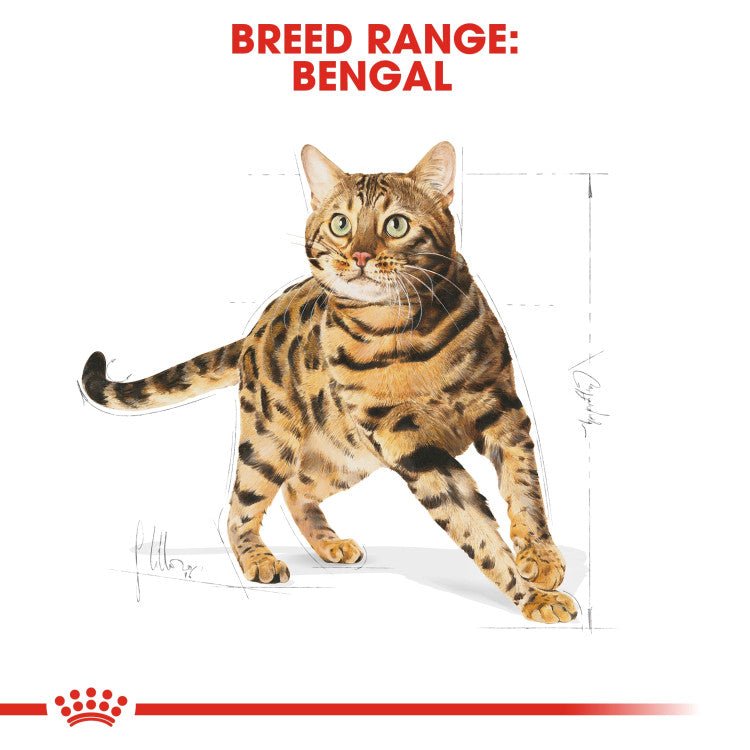 Feline Breed Nutrition Bengal Adult 2 KG - Shopivet.com