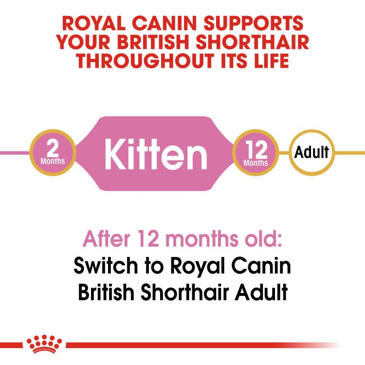 Feline Breed Nutrition British Shorthair Kitten 2 KG - Shopivet.com