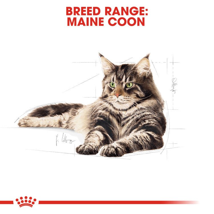 Feline Breed Nutrition Maine Coon Adult 2 KG - Shopivet.com