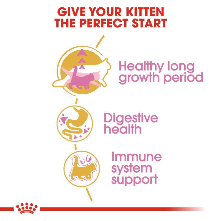 Feline Breed Nutrition Maine Coon Kitten 2 KG - Shopivet.com