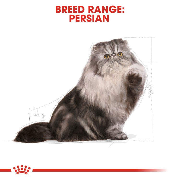 Feline Breed Nutrition Persian Adult 4 KG - Shopivet.com