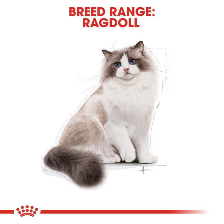 Feline Breed Nutrition Ragdoll Adult 2 KG - Shopivet.com