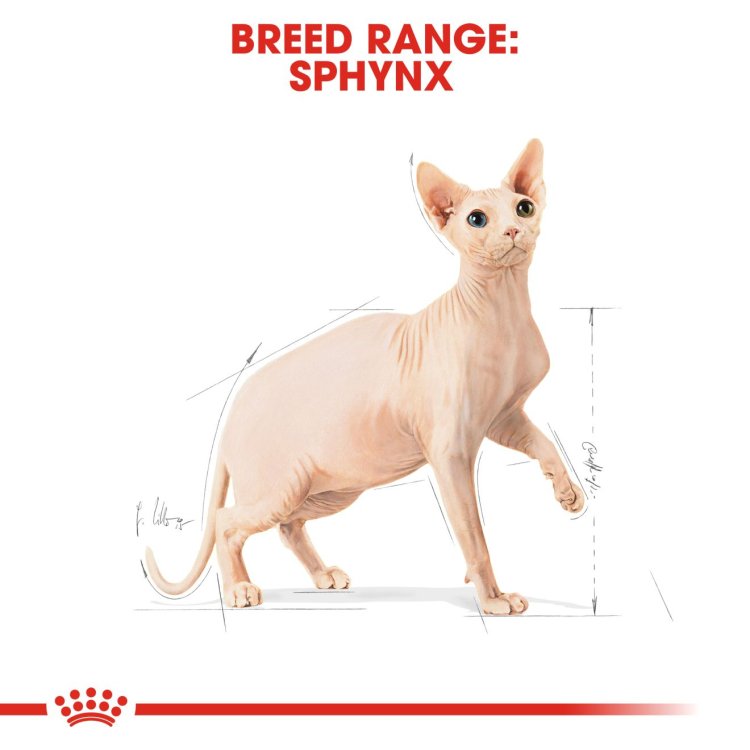 Feline Breed Nutrition Sphynx 2 KG - Shopivet.com