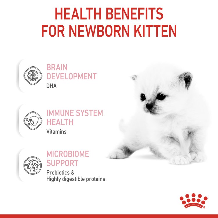 Feline Health Nutrition Babycat Milk 300 g - Shopivet.com