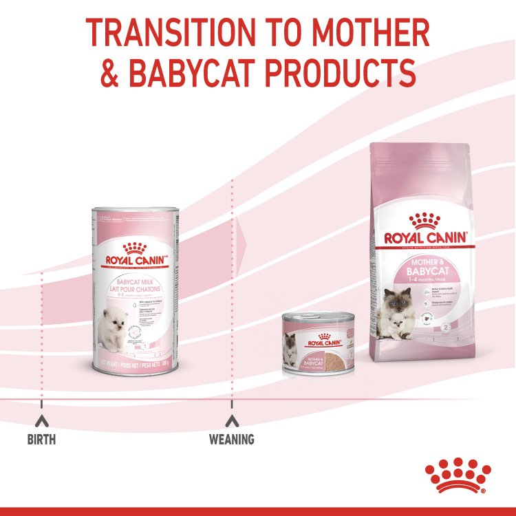 Feline Health Nutrition Babycat Milk 300 g - Shopivet.com