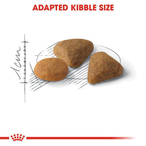 Feline Health Nutrition Exigent Savour 2 KG - Shopivet.com