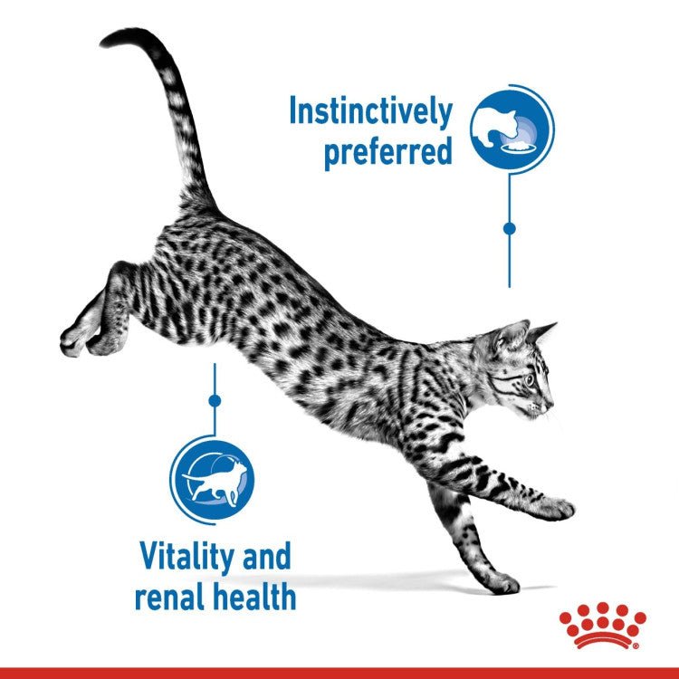 Feline Health Nutrition Indoor 7+ (WET FOOD - Pouches) - Shopivet.com