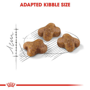 Feline Health Nutrition Kitten 2 KG - Shopivet.com