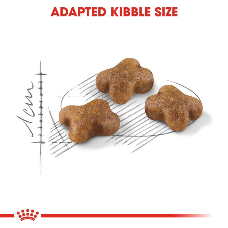 Feline Health Nutrition Kitten 2 KG - Shopivet.com