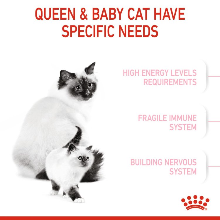 Feline Health Nutrition Mother & Babycat 10 KG - Shopivet.com