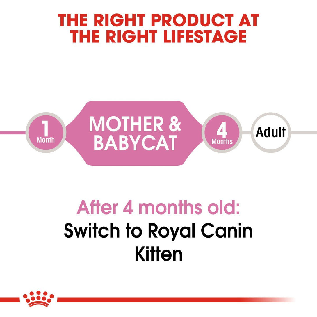 Feline Health Nutrition Mother & Babycat WET FOOD 195gm - Shopivet.com