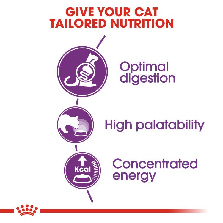 Feline Health Nutrition Sensible 10 KG - Shopivet.com