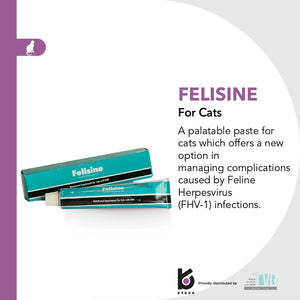 Felisine Paste 60g - Shopivet.com