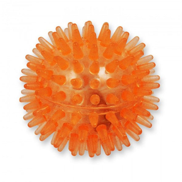 Flash Ball - orange - Shopivet.com