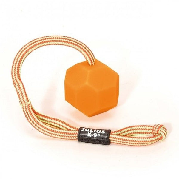 FLUORESCENT BALL WITH STRING - Shopivet.com