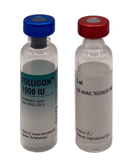 folligon 1000 IU - Shopivet.com