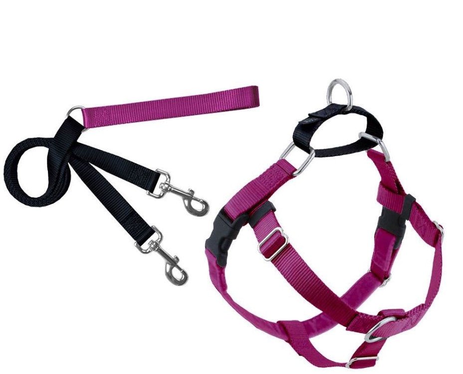 Freedom No-Pull Harness and Leash - Shopivet.com