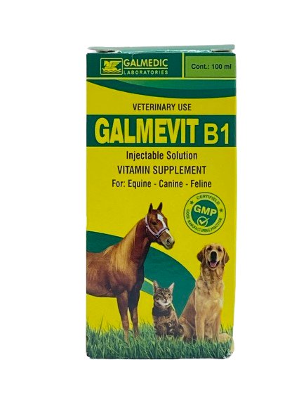GALMEVIT B1 injection 100 ml - Shopivet.com