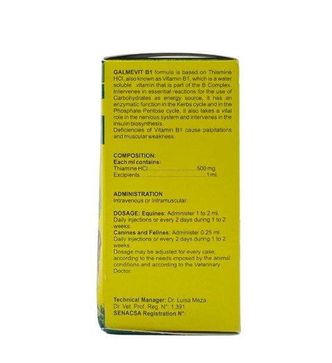 GALMEVIT B1 injection 100 ml - Shopivet.com