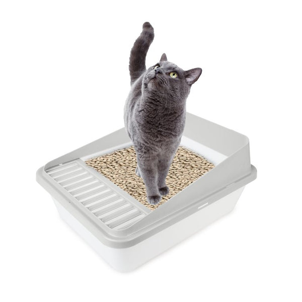 Go Fresh - High Back Cat Litter Box Large صندوق رمل كبير للقطط كبير - Shopivet.com