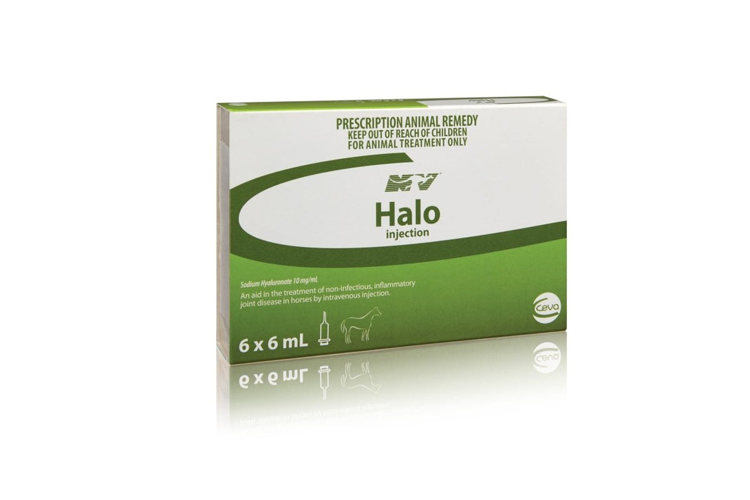 Halo injection 6ml - Shopivet.com