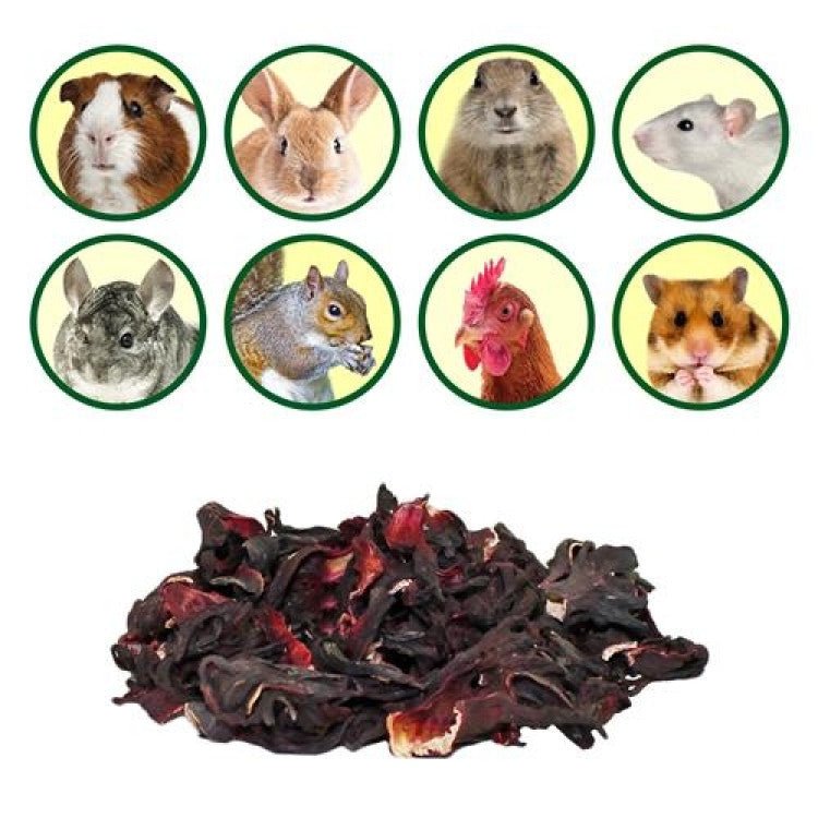 HIBISCUS FLOWER TREAT 28G - Shopivet.com