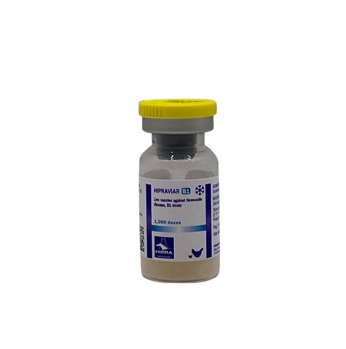 Hipraviar B1 1000DS - Shopivet.com